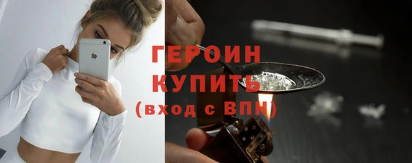 гидра Богородск
